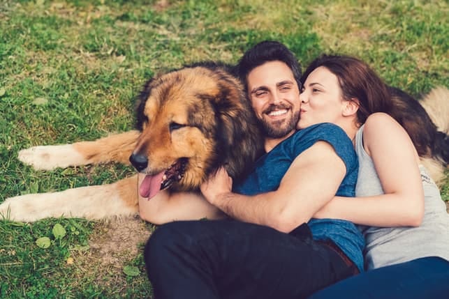 a young couple with a dog hugging and smiling