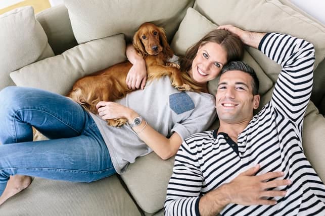 a happy couple with a dog is lying on a sofa