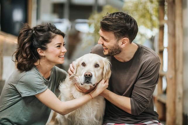 a couple petting their dog outdoors
