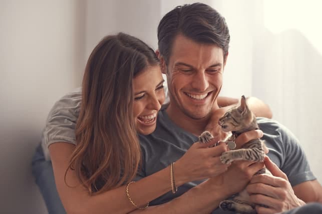 a couple playing with a kitten